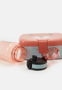 Translucents rozā plastmasas ūdens pudele, saliekamā pelēkā pusdienu kaste ar lapsas dizainu, melns un teal zaļš apaļš trauks ar caurspīdīgu vāku.