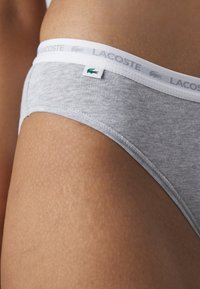 Lacoste Klasični kroj - bleu marine/bleu clair/gris chine