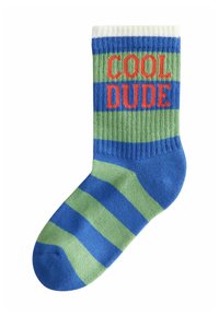 Gestreepte sok met groene en blauwe kleuren, met "COOL DUDE" in rode tekst op de blauwe band. Gemaakt van ribgebreid materiaal.