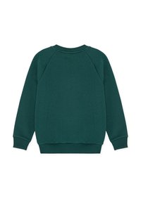 Πράσινο-μπλε φούτερ με στρογγυλή λαιμόκοψη, κατασκευασμένο από βαμβακερό μείγμα, με ελαστικές μανσέτες και τελείωμα, με υφασμάτινη υφή και σχεδιασμό με μανίκια ράγκλαν.