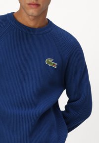Blauer gerippter Pullover mit Rundhalsausschnitt, Raglanärmeln und kleinem grünen und roten Krokodil-Logo auf der Brust. Strukturiertes Strickmaterial.