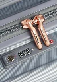 Delsey Paris SHADOW - Trolley - platin
