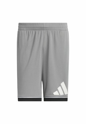 Šedé sportovní šortky s elastickým pasem, s bílými detaily a černým pruhem na lemu. Na levé straně je velké bílé logo.