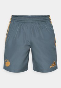 adidas Performance FCK  antracytowy