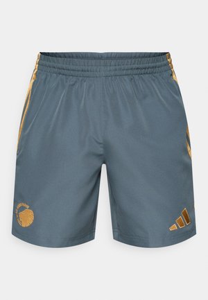 adidas Performance FC  COPENHAGEN UBP SHORT - Joukkuetuote - bold onix