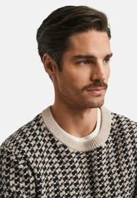 Mann mit gestyltem dunklem Haar und Schnurrbart, der einen strukturierten schwarz-beigen Pullover über einem weißen Hemd trägt und nach rechts auf einem weißen Hintergrund schaut.