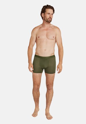 MER COOL-LITE ANATOMICA  - Boxerkalsong - loden