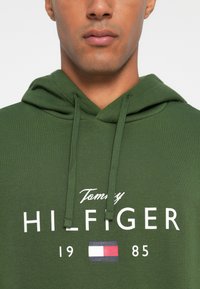 Un sweat à capuche vert en mélange de coton, doté d'un cordon de serrage, d'un imprimé logo, et d'un accent à rayures horizontales en rouge, blanc et bleu.