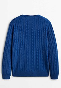 Pull bleu à manches longues en maille torsadée avec col rond, poignets et ourlet côtelés, présenté de dos sur un fond blanc.
