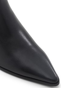 ALDO EMMALIE - Botines - black