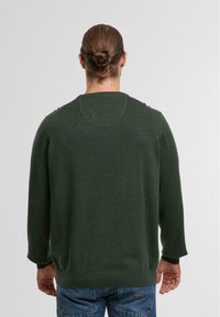 Ciemnozielony sweter z okrągłym dekoltem, długimi rękawami i prążkowanymi mankietami. Miękka tekstura z gładkim wykończeniem, zaprezentowany na plecach modelki.