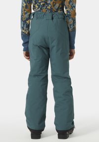Helly Hansen LEGENDARY PANT UNISEX - Täckbyxor - dark creek