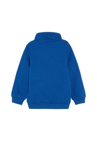 Blauwe sweatshirt met lange mouwen en een hoge kraag, gemaakt van zachte stof. Kenmerkt zich door ribgebreide manchetten en zoom, een eenvoudig ontwerp en geen zichtbare patronen.