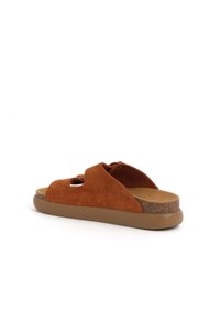 Scholl NOELLE CHUNKY - Pantofle - cognac