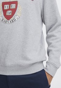 Grijze sweatshirt met een groot Harvard-wapenontwerp met een rode schild, gouden accenten en het woord "VERITAS" op de voorkant. Zachte textuur.