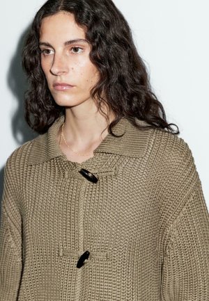 MERCERISED WITH HORN BUTTON DETAIL  - Cardigan - brown