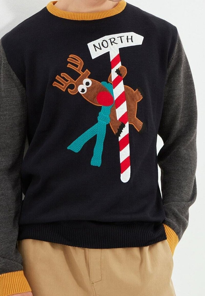 Dunkelblauer Pullover mit grauen Ärmeln, mit einem aufgenähten Rentier, das ein Candy-Cane-Schild mit der Aufschrift "NORD" hält. Highlights sind ein türkisfarbener Schal und ein orangefarbener Kragen.