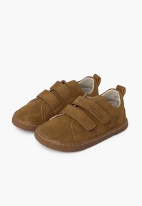 Pisamonas Beebijalatsid - topo