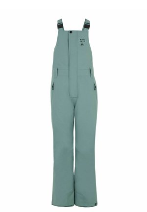 PRTPITOH JR - Pantaloni da sci - atlantic green