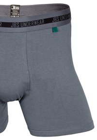 Boxer corti grigi con una texture sottile, realizzati in viscosa di bamboo. Presentano un elastico nero con l'etichetta "JBS UNDERWEAR" e un accento di logo verde.