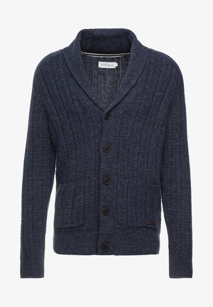 Cardigan - mottled blue