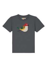 Grijs T-shirt met korte mouwen met een gestileerde vogelafbeelding in rood, geel, groen en zwart. Zacht materiaal, ronde hals.