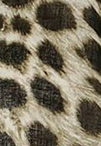 Close-up of textured fur with irregular black spots on a light beige background, resembling a leopard print pattern.