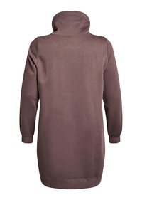 Brun sweatshirtklänning med hög krage, långa ärmar och ribbade mudd. Slät textur, avslappnad passform, med minimala sömdetaljer.