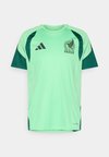 MEXICO FMF TRAINING - Voetbalshirt - Land - semi flash green