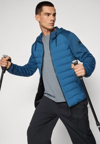 Icepeak AIKERA petrol
