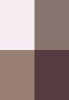 chic neutrals