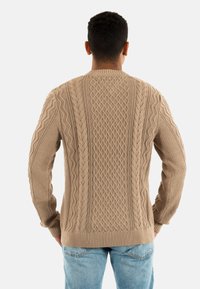 Maglione beige lavorato a maglia con texture a treccia e orlo a coste, con scollo rotondo e maniche lunghe, visto da dietro.