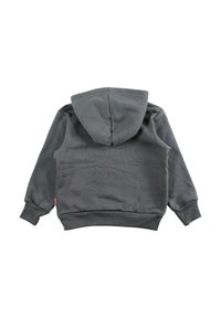 Sweat à capuche en coton gris avec une capuche, des manches longues et des poignets côtelés. Texture lisse, design simple, sans motifs ni détails supplémentaires.