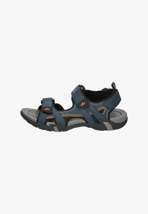 Blue and black open-toe sport sandal with adjustable straps and rubber sole, designed for outdoor activities.