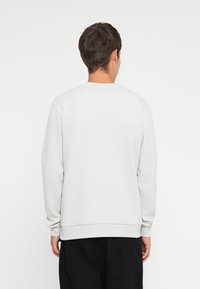 Lys grå hettegenser med lange ermer, rund hals og ribbede mansjetter. Glatt tekstur, minimalistisk design, og ingen synlige logoer eller mønstre.