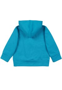 Felpa con cappuccio turchese, con maniche lunghe, tasca a canguro e polsini e orlo a costine. Tessuto morbido, vestibilità rilassata.