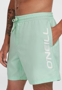 Menta zelena kopalna kratka hlače z elastičnim pasom, vrvicami in belim logotipom "O'Neill" na strani. Ima stranske žepke in gladko teksturo.