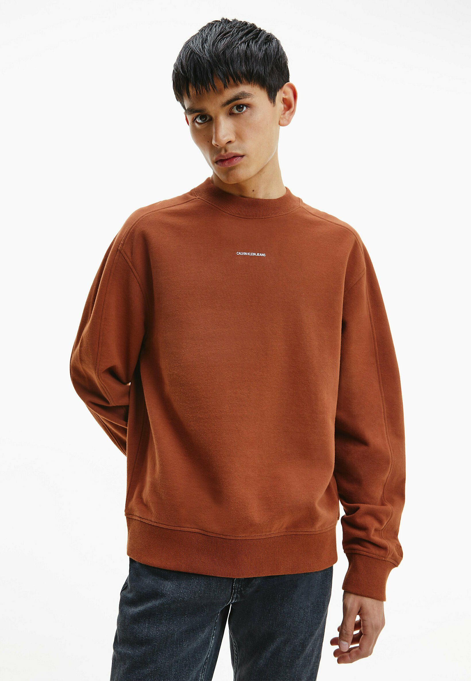 Calvin Klein Jeans MICRO BRANDING - Felpa - tortoise shell/marrone - Zalando