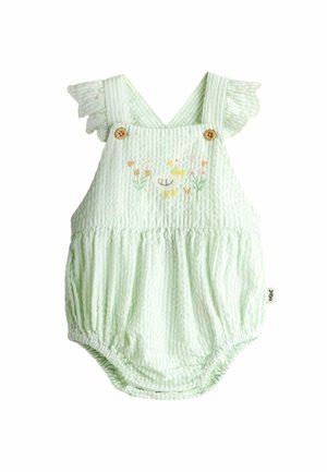 Svetlozelený pruhovaný detský overal s volánikovými ramennými popruhmi, drevenými gombíkmi a vyšívanou kačičkou s kvetmi na hrudi.