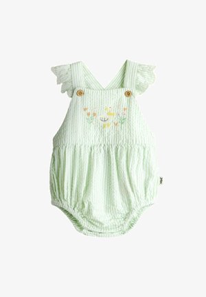Svetlozelený pruhovaný detský overal s volánikovými ramennými popruhmi, drevenými gombíkmi a vyšívanou kačičkou s kvetmi na hrudi.