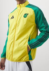 adidas Performance Equipación de selecciones - black