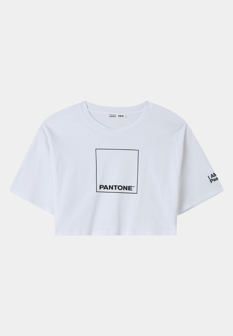 Maglietta T Shirt Terranova Pantone Maglietta Terranova CROP