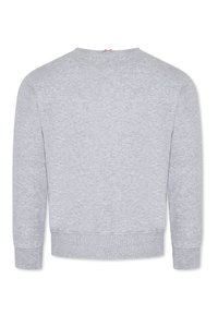 Felpa grigia chiara con colletto a girocollo, maniche lunghe e polsini e orlo a coste. Realizzata in tessuto morbido con una leggera texture.