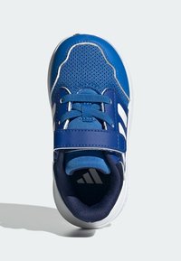 Niebieskie i białe trampki dla malucha z siateczkowym wierzchem, regulowanym paskiem na rzep, elastycznymi sznurówkami oraz wyściełanym ciemnoniebieskim kołnierzem.