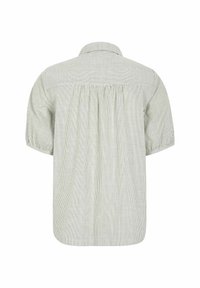 Camicia a righe in verde chiaro e bianco, con maniche a sbuffo corte, colletto classico e dettagli plissettati sul retro. Tessuto leggero.