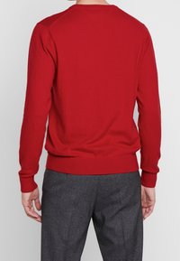 Mies, der einen einfarbigen roten Langarmpullover und graue Hose trägt, von hinten vor einem weißen Hintergrund gezeigt.