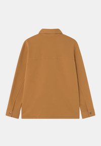 Brązowa koszula z długim rękawem i kołnierzykiem, z zapinanymi mankietami, gładką fakturą i prostym wzornictwem. Widok z tyłu podkreśla czyste linie i szwy.