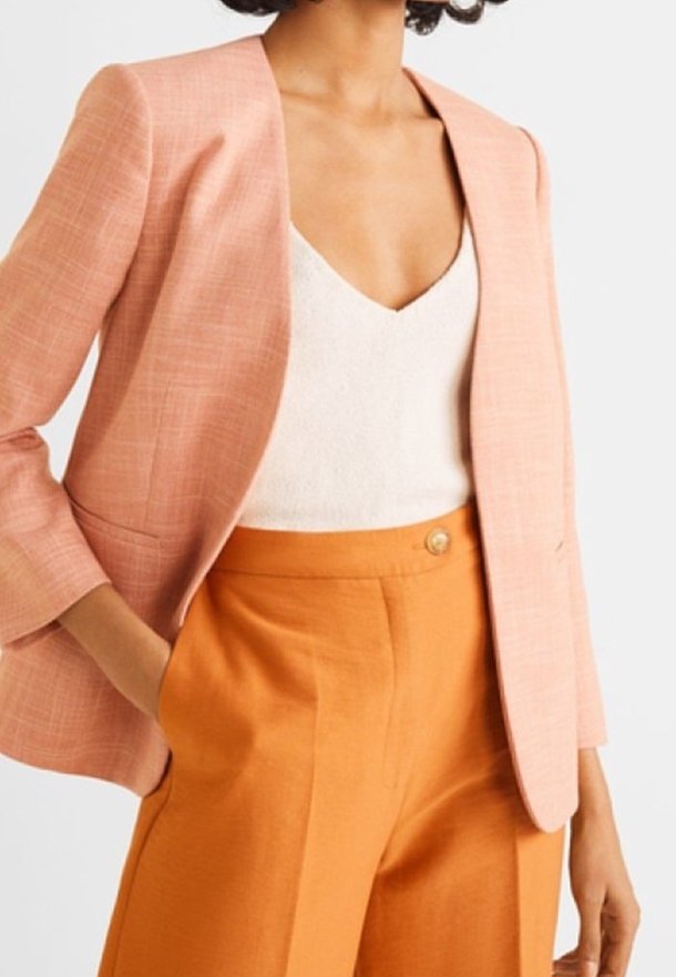 Woman wearing a light pink blazer over a white V-neck top and high-waisted burnt orange pants with a front button.