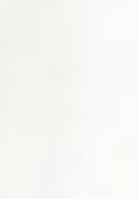 Tasse en céramique blanche, forme cylindrique, texture lisse, anse courbée, design minimaliste sans motifs ni accents.