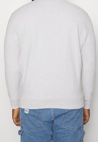 Felpa grigio chiaro con maniche lunghe e polsini a costine, caratterizzata da una scollatura rotonda e un'etichetta con il marchio sul lato inferiore sinistro.